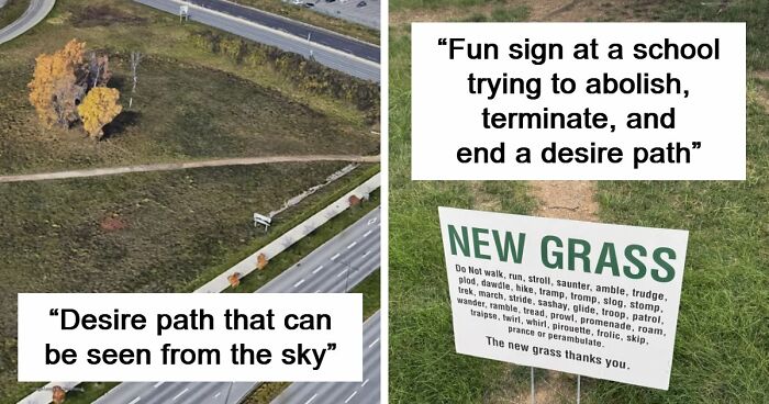75 “Desire Paths” That Show Human Stubbornness In The Best Way Possible (New Pics)