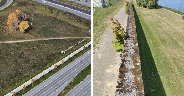 75 “Desire Paths” That Show Human Stubbornness In The Best Way Possible (New Pics)