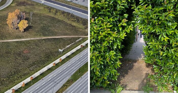 75 “Desire Paths” That Show Human Stubbornness In The Best Way Possible (New Pics)