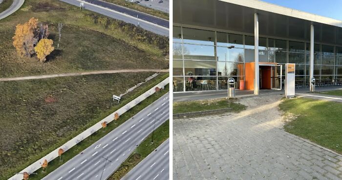 75 “Desire Paths” That Show Human Stubbornness In The Best Way Possible (New Pics)