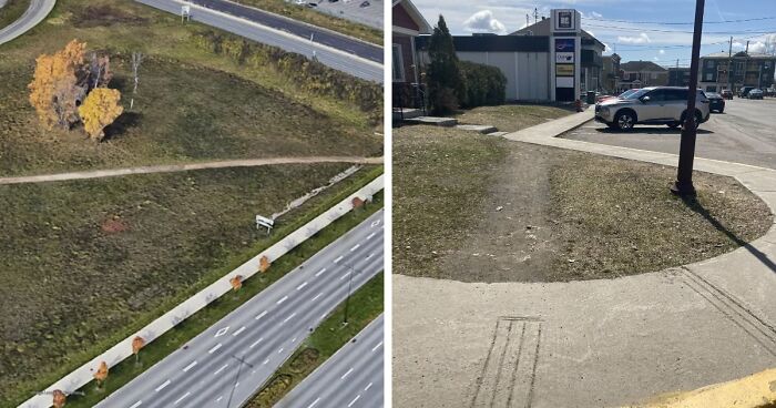 75 “Desire Paths” That Show Human Stubbornness In The Best Way Possible (New Pics)