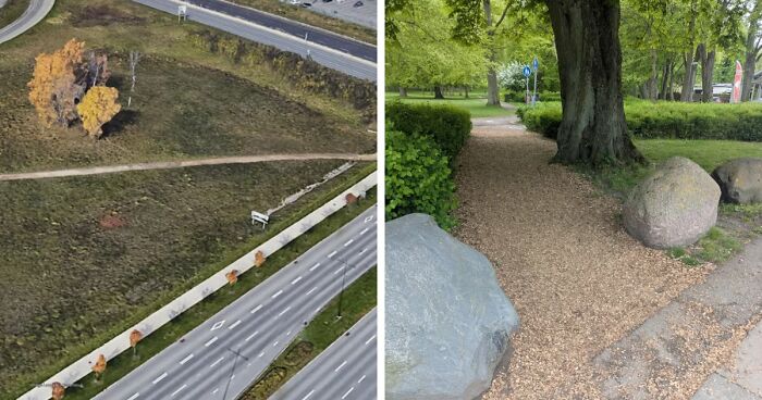 75 “Desire Paths” That Show Human Stubbornness In The Best Way Possible (New Pics)