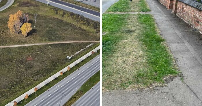 75 “Desire Paths” That Show Human Stubbornness In The Best Way Possible (New Pics)