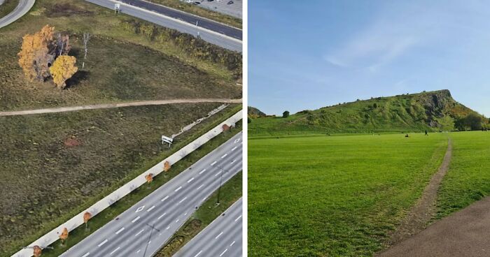 75 “Desire Paths” That Show Human Stubbornness In The Best Way Possible (New Pics)