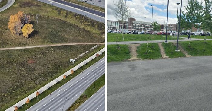 75 “Desire Paths” That Show Human Stubbornness In The Best Way Possible (New Pics)