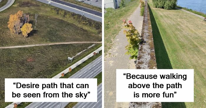 75 “Desire Paths” That Show Human Stubbornness In The Best Way Possible (New Pics)