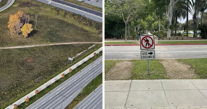 75 “Desire Paths” That Show Human Stubbornness In The Best Way Possible (New Pics)