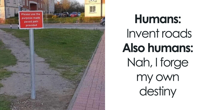 75 “Desire Paths” That Show Human Stubbornness In The Best Way Possible (New Pics)