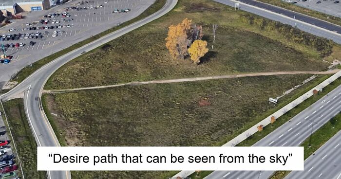 75 “Desire Paths” That Show Human Stubbornness In The Best Way Possible (New Pics)