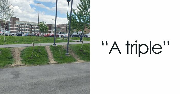 75 “Desire Paths” That Show Human Stubbornness In The Best Way Possible (New Pics)