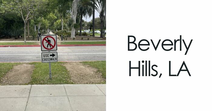 75 “Desire Paths” That Show Human Stubbornness In The Best Way Possible (New Pics)