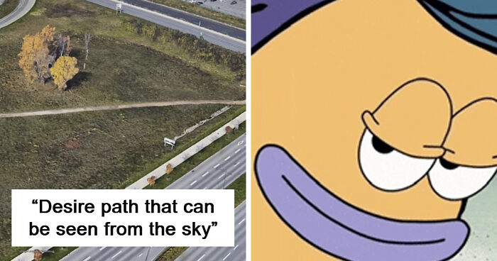 75 “Desire Paths” That Show Human Stubbornness In The Best Way Possible (New Pics)