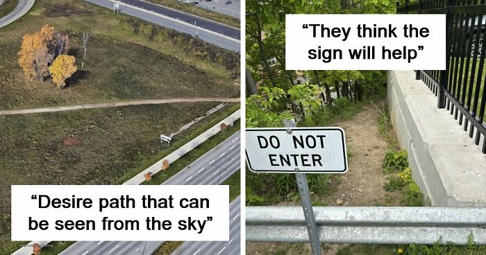 75 “Desire Paths” That Show Human Stubbornness In The Best Way Possible (New Pics)