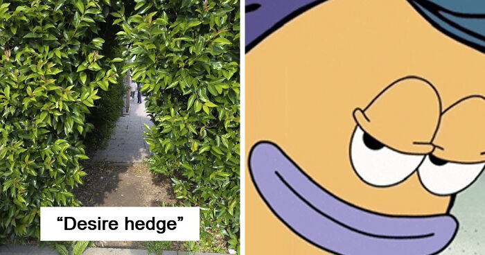 75 “Desire Paths” That Show Human Stubbornness In The Best Way Possible (New Pics)