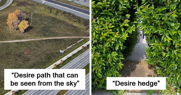 75 “Desire Paths” That Show Human Stubbornness In The Best Way Possible (New Pics)