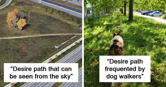 75 “Desire Paths” That Show Human Stubbornness In The Best Way Possible (New Pics)