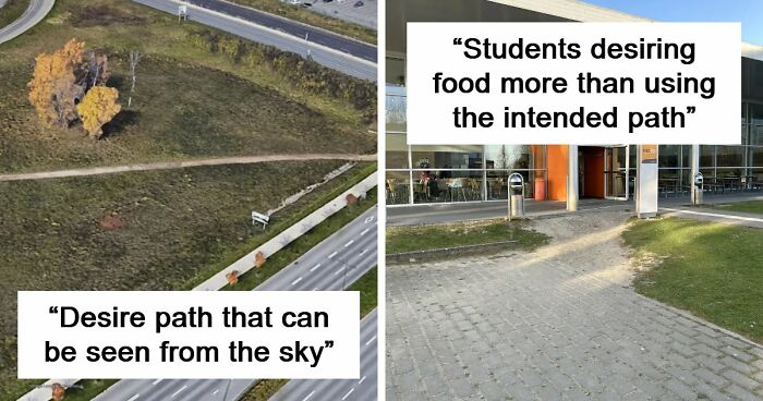 75 “Desire Paths” That Show Human Stubbornness In The Best Way Possible (New Pics)