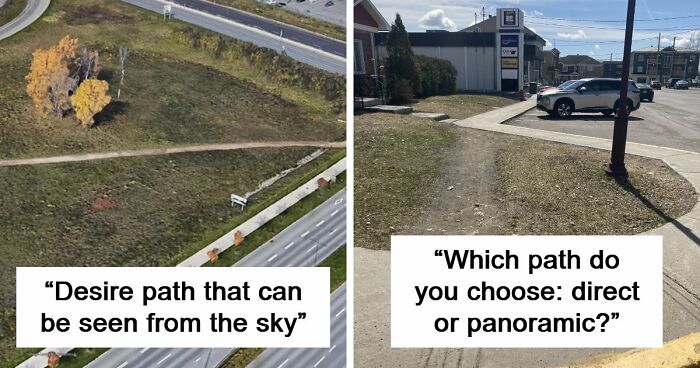 75 “Desire Paths” That Show Human Stubbornness In The Best Way Possible (New Pics)