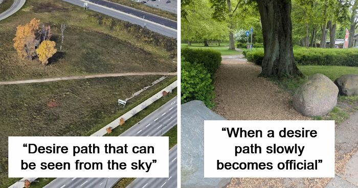 75 “Desire Paths” That Show Human Stubbornness In The Best Way Possible (New Pics)
