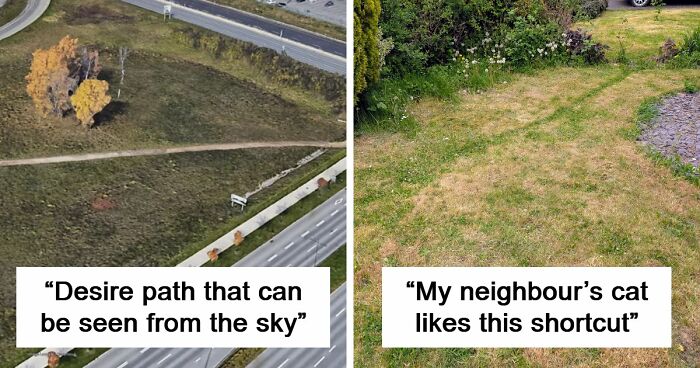 75 “Desire Paths” That Show Human Stubbornness In The Best Way Possible (New Pics)