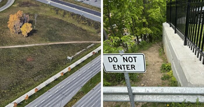 75 “Desire Paths” That Show Human Stubbornness In The Best Way Possible (New Pics)