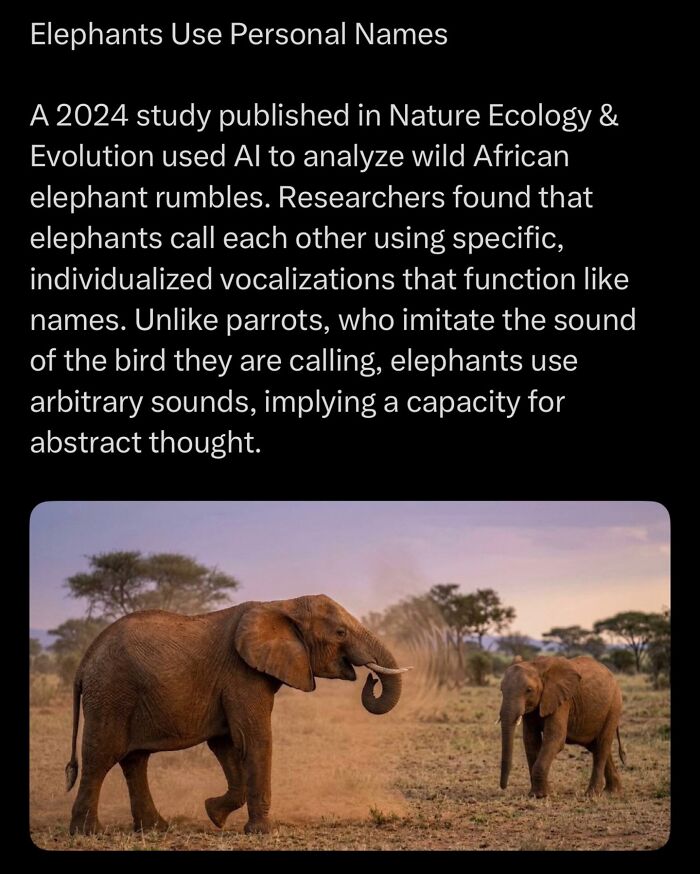 African elephants use personalized vocalizations like names in wildlife research