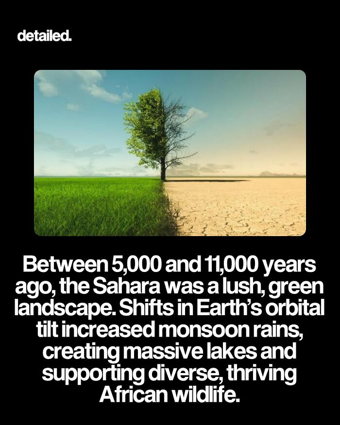 Sahara was a lush green landscape 5,000 to 11,000 years ago with diverse African wildlife.