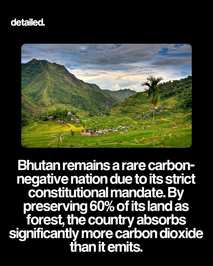 Bhutan's carbon-negative status preserved by 60% forest land absorbing more carbon dioxide.