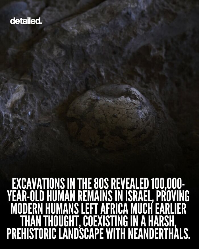 Fossilized human remains in Israel proving early human migration from Africa coexistence with Neanderthals.