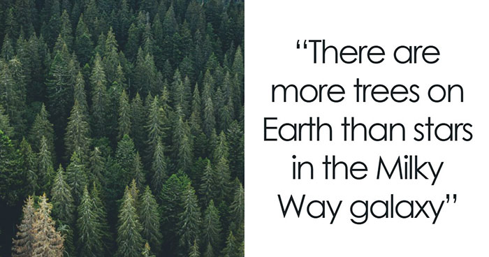 “Here To Explain Everything”: 92 Facts And Stories You Might Not Have Heard Of Before