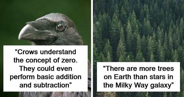 “Here To Explain Everything”: 92 Facts And Stories You Might Not Have Heard Of Before