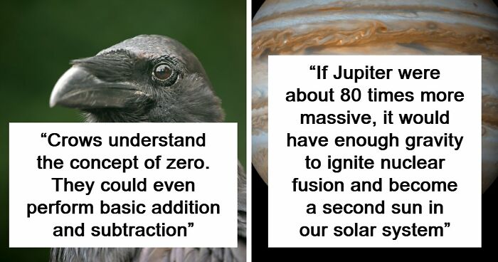 “Here To Explain Everything”: 92 Facts And Stories You Might Not Have Heard Of Before