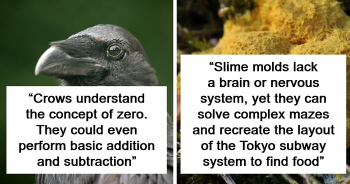 “Here To Explain Everything”: 92 Facts And Stories You Might Not Have Heard Of Before