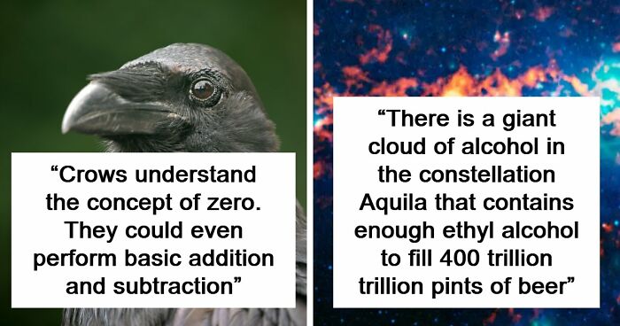 “Here To Explain Everything”: 92 Facts And Stories You Might Not Have Heard Of Before