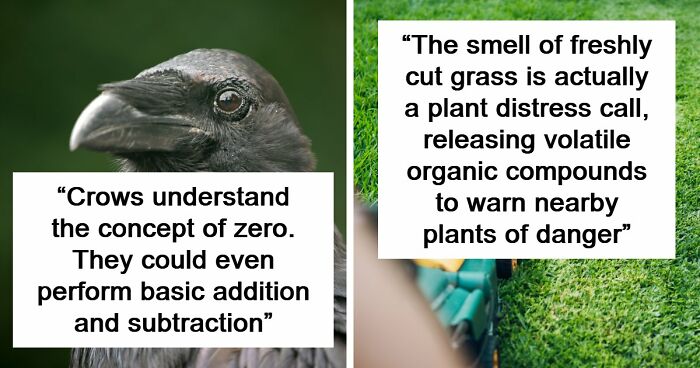 “Here To Explain Everything”: 92 Facts And Stories You Might Not Have Heard Of Before