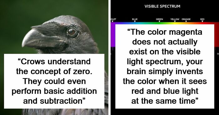“Here To Explain Everything”: 92 Facts And Stories You Might Not Have Heard Of Before