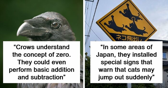 “Here To Explain Everything”: 92 Facts And Stories You Might Not Have Heard Of Before