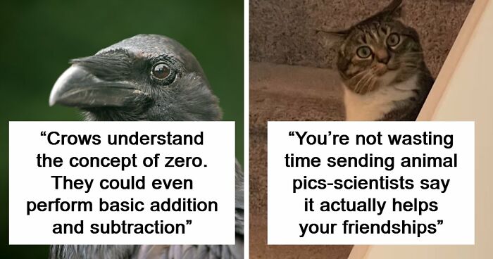 “Here To Explain Everything”: 92 Facts And Stories You Might Not Have Heard Of Before