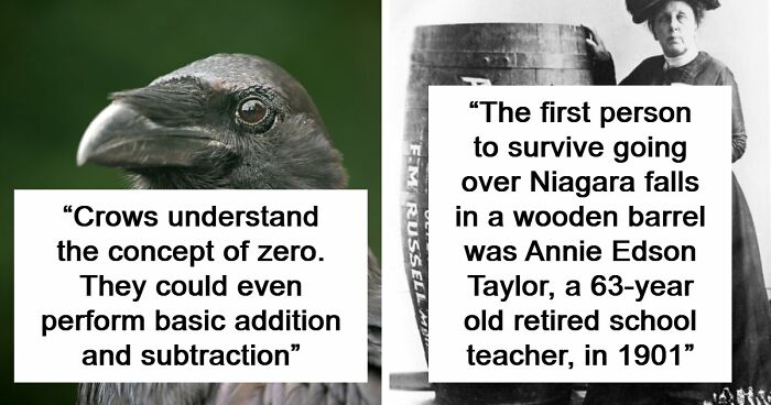 “Here To Explain Everything”: 92 Facts And Stories You Might Not Have Heard Of Before