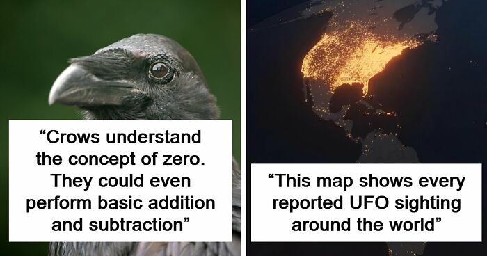 “Here To Explain Everything”: 92 Facts And Stories You Might Not Have Heard Of Before