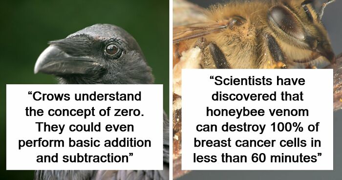 “Here To Explain Everything”: 92 Facts And Stories You Might Not Have Heard Of Before