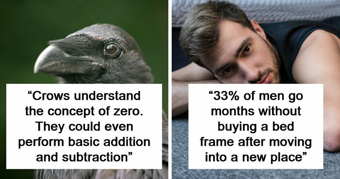 “Here To Explain Everything”: 92 Facts And Stories You Might Not Have Heard Of Before