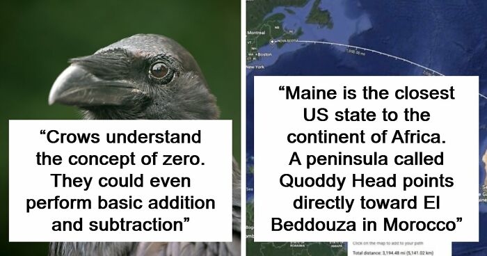 “Here To Explain Everything”: 92 Facts And Stories You Might Not Have Heard Of Before