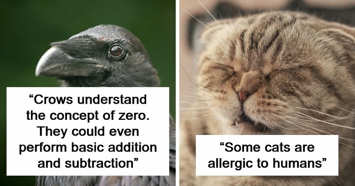 “Here To Explain Everything”: 92 Facts And Stories You Might Not Have Heard Of Before