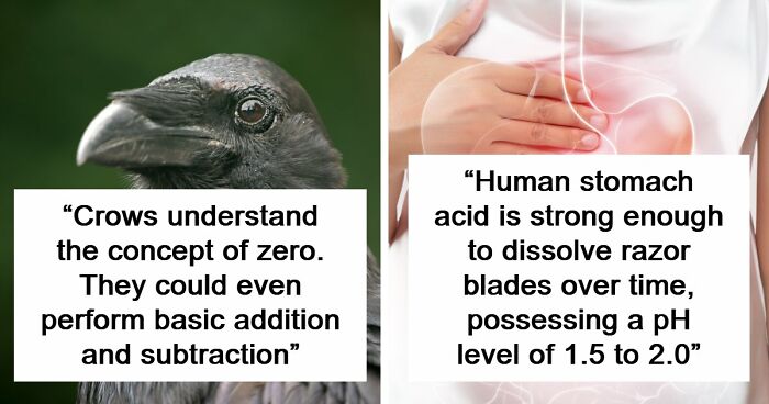 “Here To Explain Everything”: 92 Facts And Stories You Might Not Have Heard Of Before