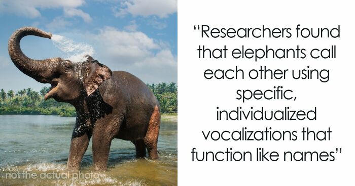 “Here To Explain Everything”: 92 Facts And Stories You Might Not Have Heard Of Before