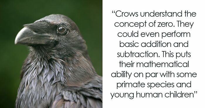 “Here To Explain Everything”: 92 Facts And Stories You Might Not Have Heard Of Before