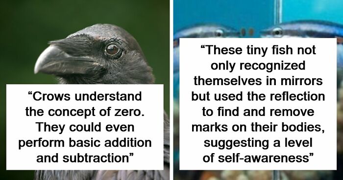 “Here To Explain Everything”: 92 Facts And Stories You Might Not Have Heard Of Before
