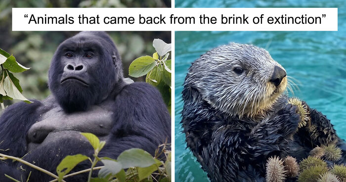 “Here To Explain Everything”: 92 Facts And Stories You Might Not Have Heard Of Before