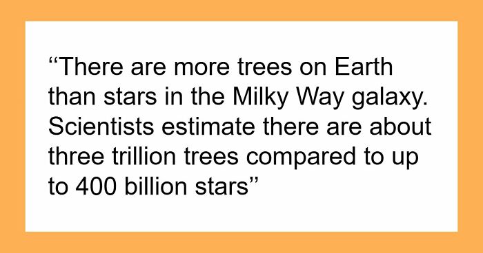 “Here To Explain Everything”: 92 Facts And Stories You Might Not Have Heard Of Before
